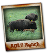 ADL 7 Hunting Ranch